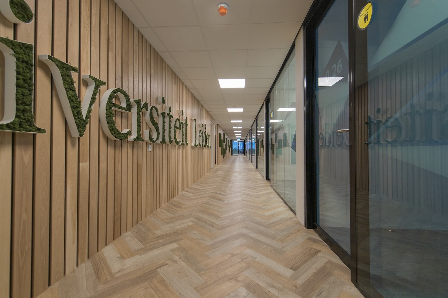 Projecten 2020 snellius leiden19