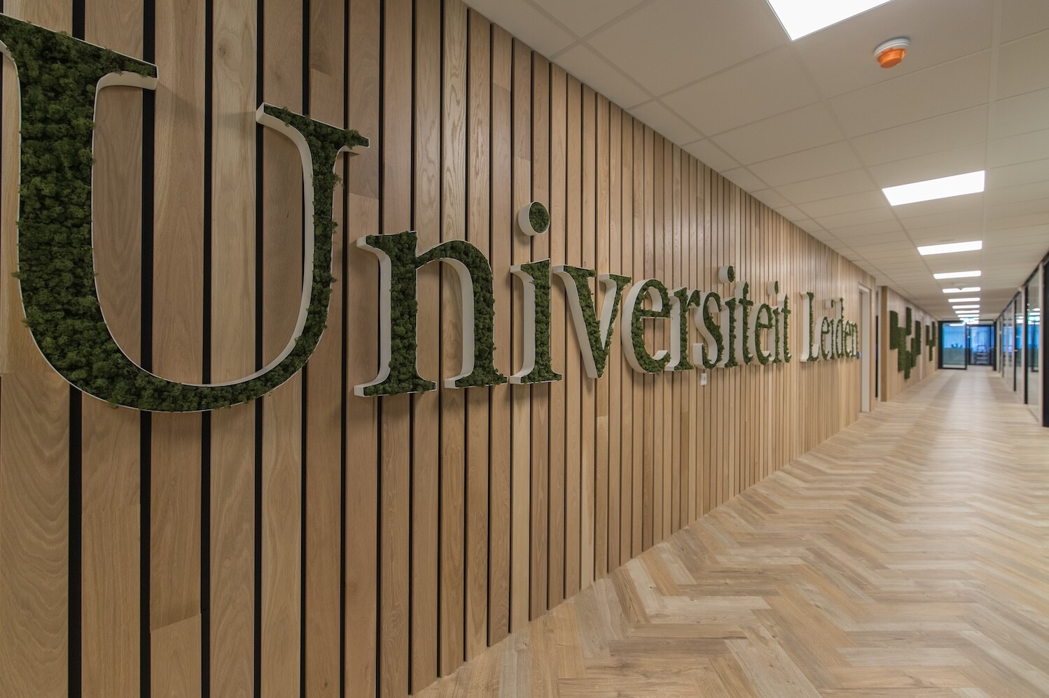 Projecten 2020 snellius leiden24