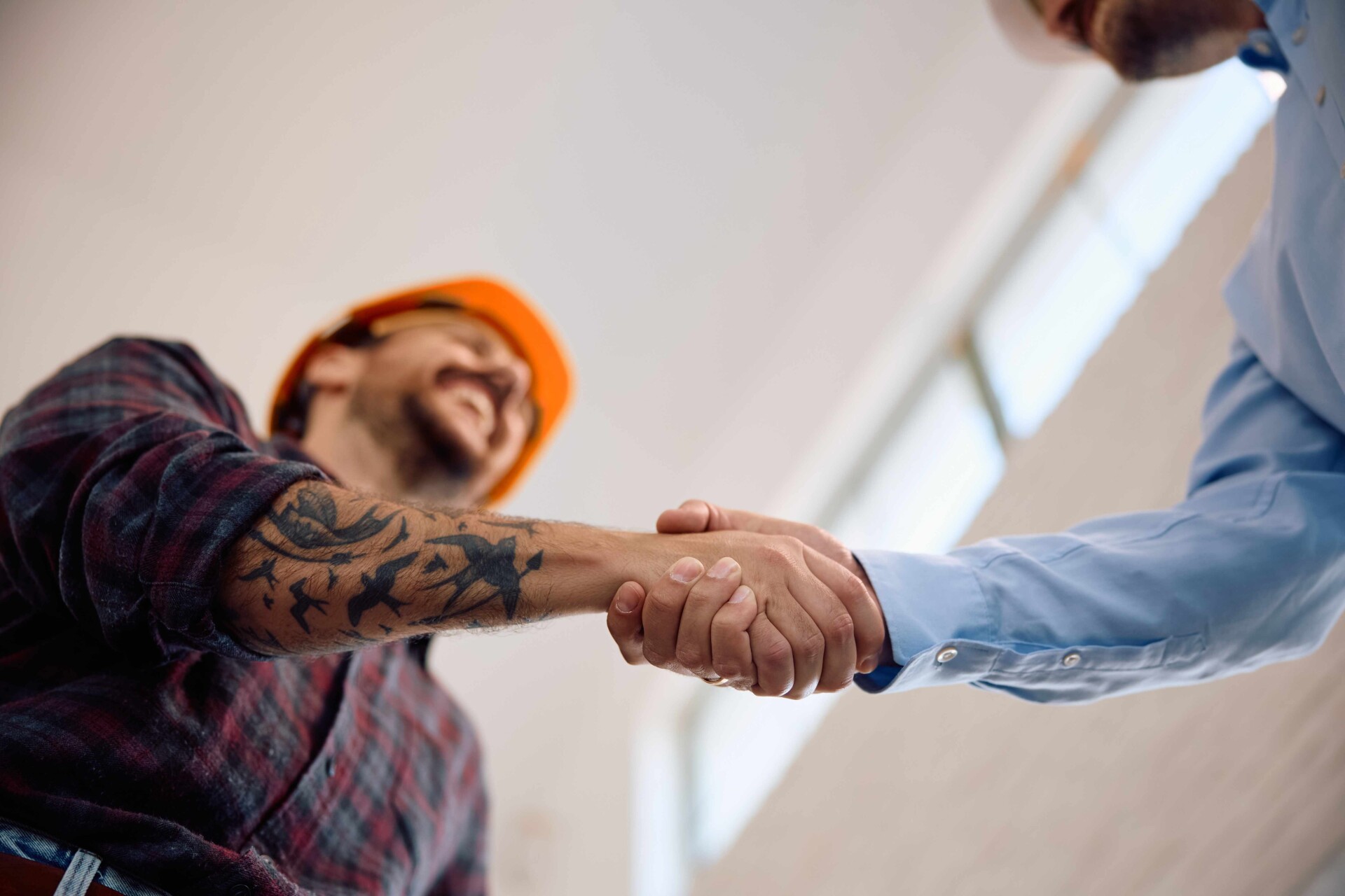 Shutterstock 2481783521 (1)